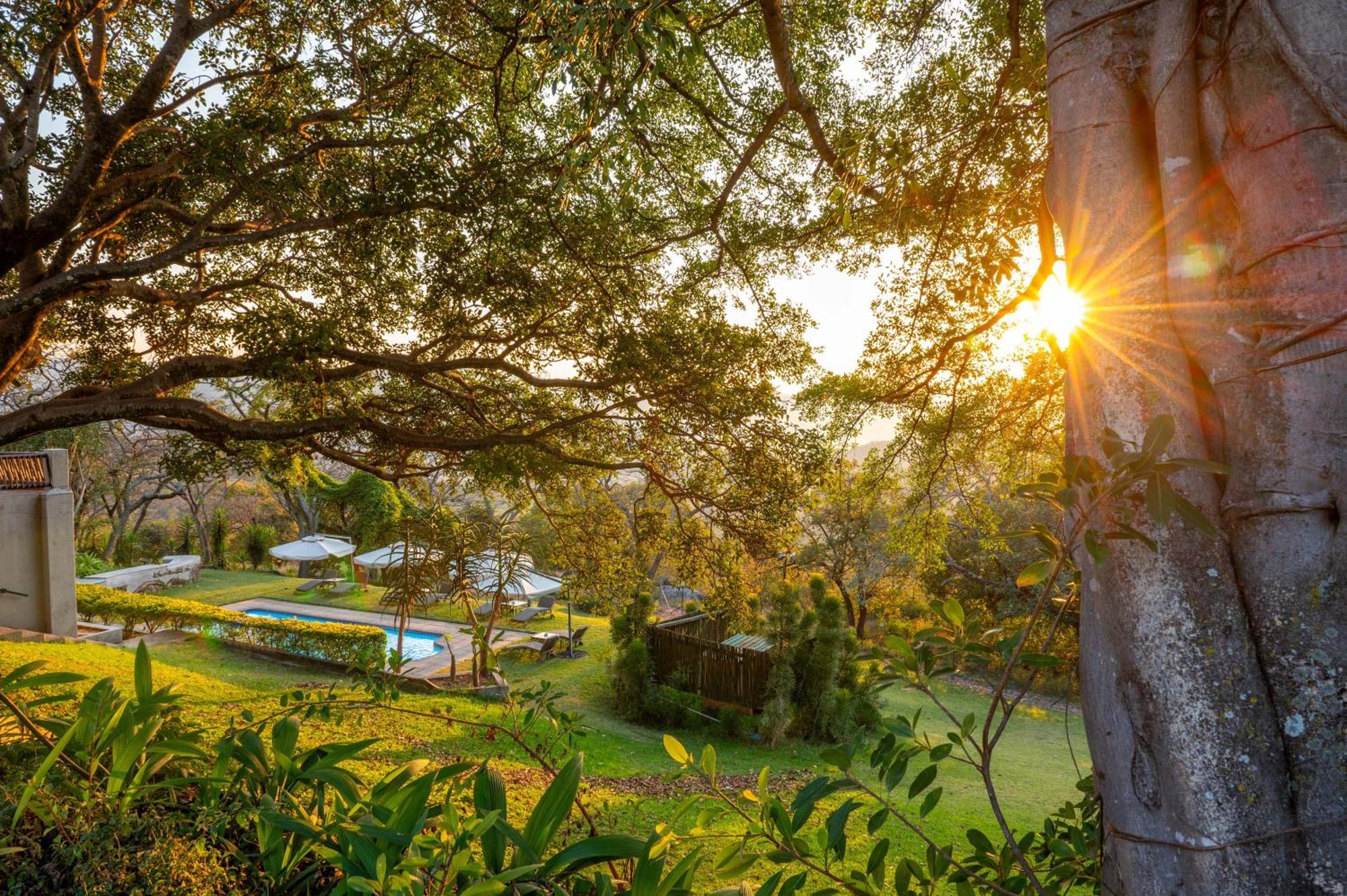Chestnut Country Lodge Гейзівью Екстер'єр фото