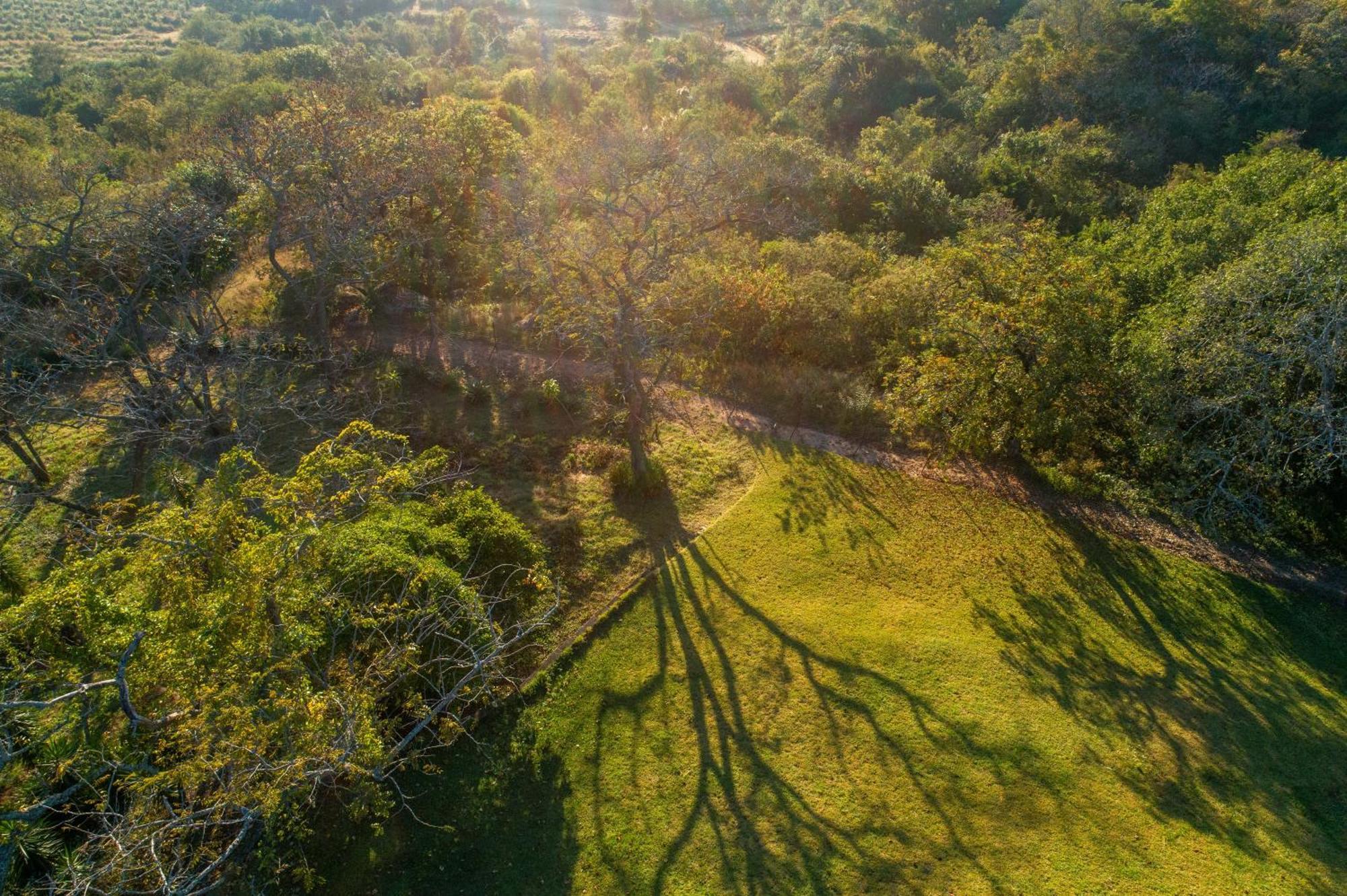 Chestnut Country Lodge Гейзівью Екстер'єр фото